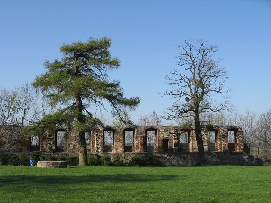 Zamek w Toszku