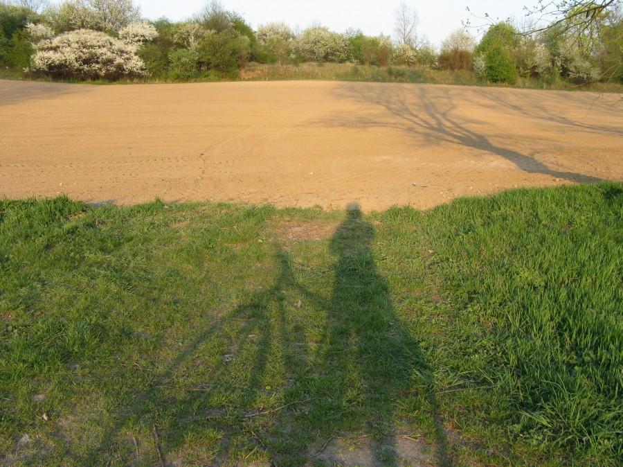 cień