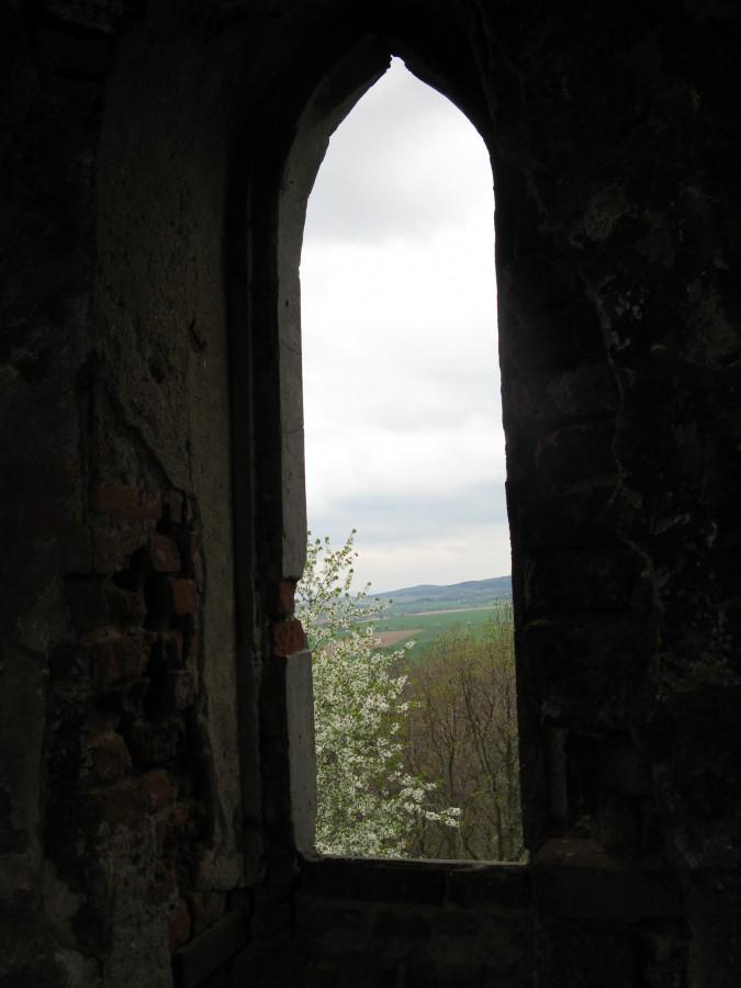 widok z wieży w Piotrkowie
