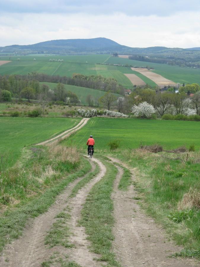 zjazd z wieży