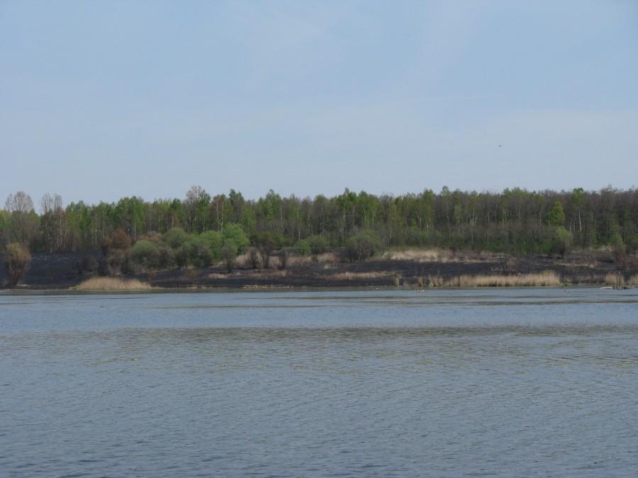 Skutki poaru Pogoria II