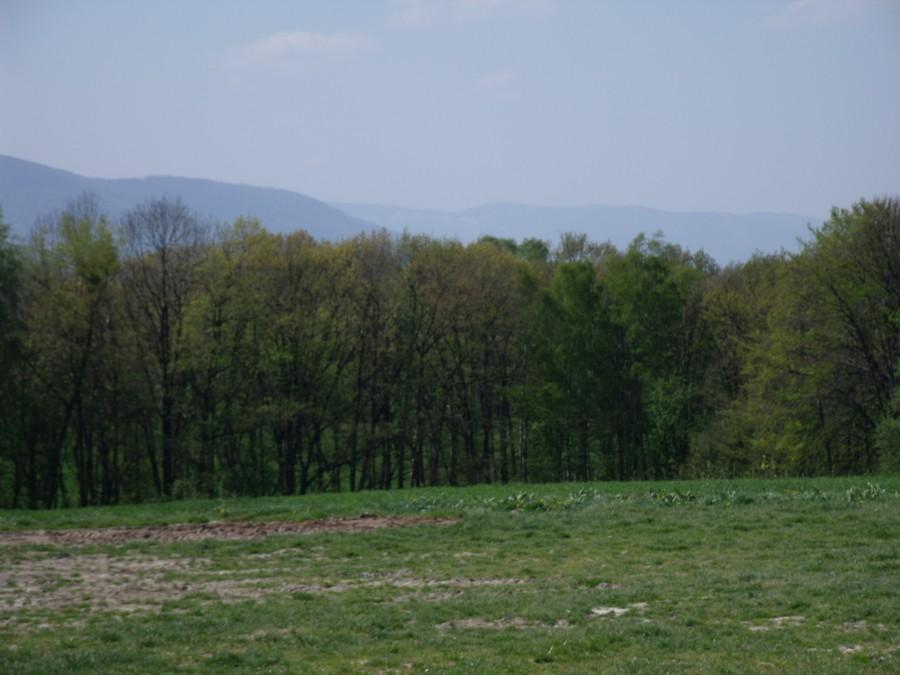 Trasa Kęty Nidek