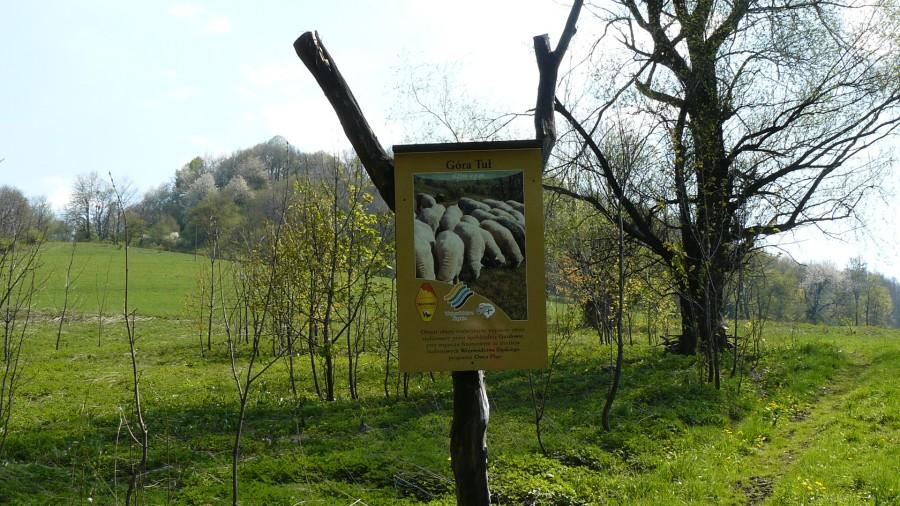 Góra Tuł