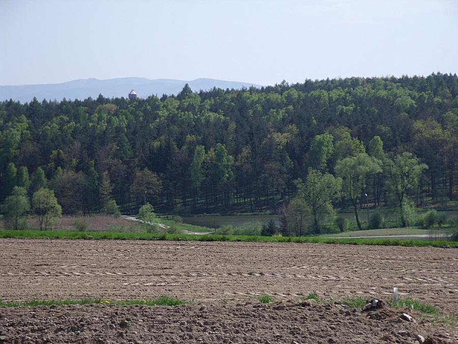 widok na Beskid