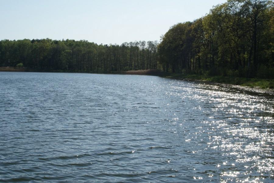 Stawy w Łazach