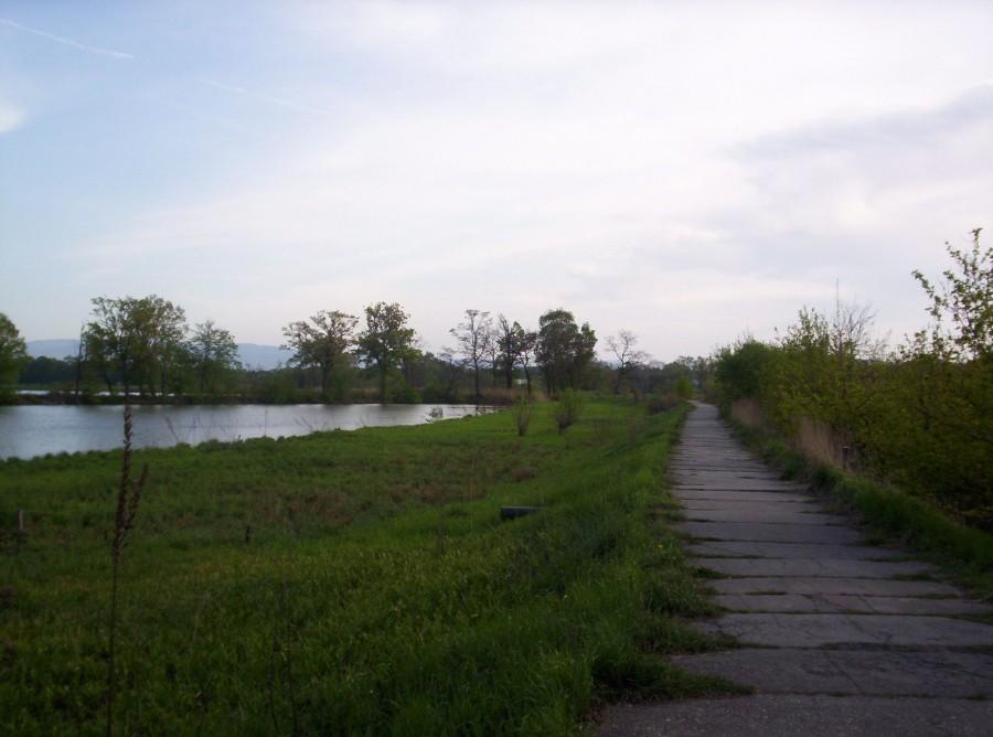 Wiślana trasa rowerowa