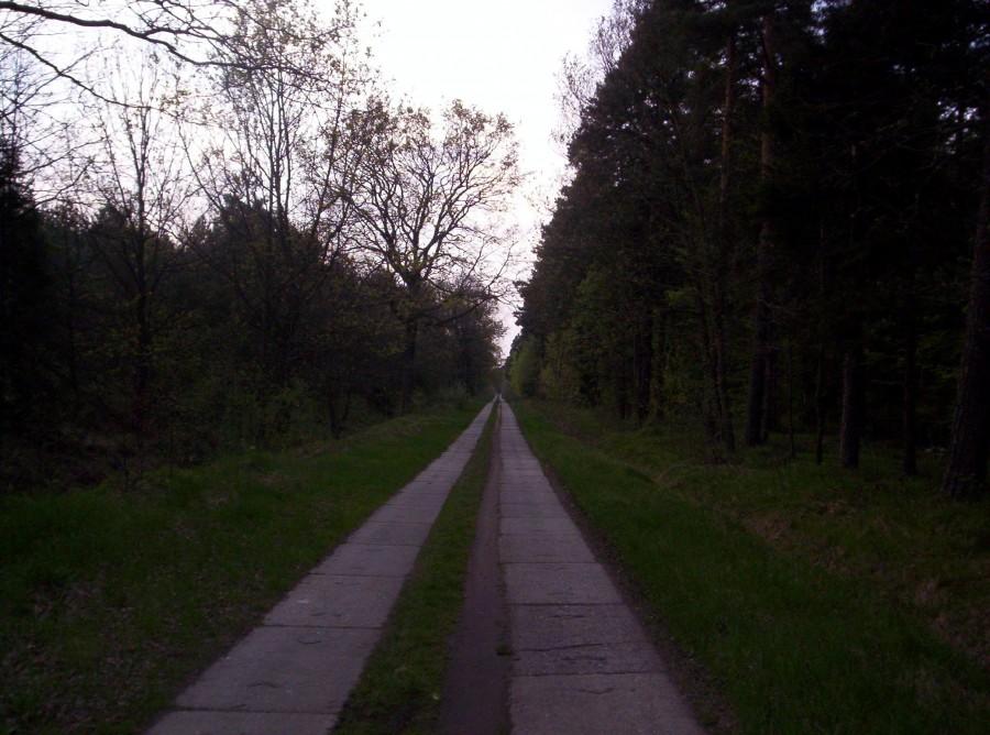 Doga na Kobiór