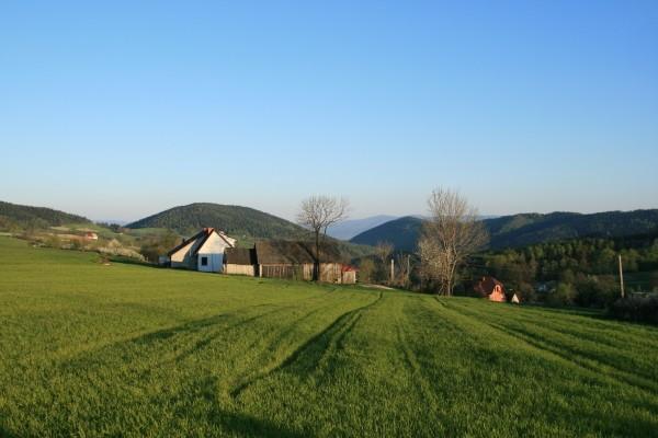 Siekierczyna
