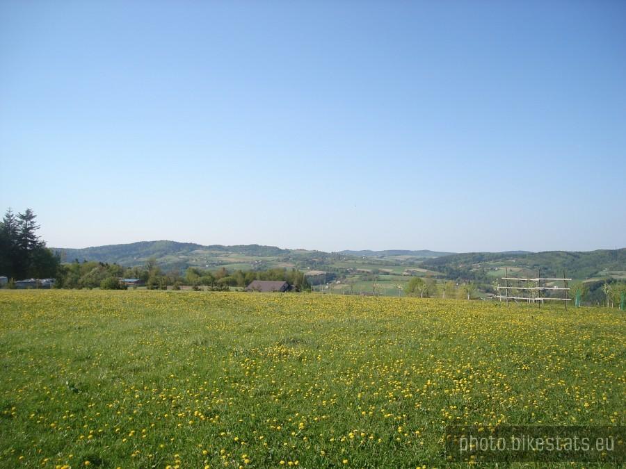 widoki