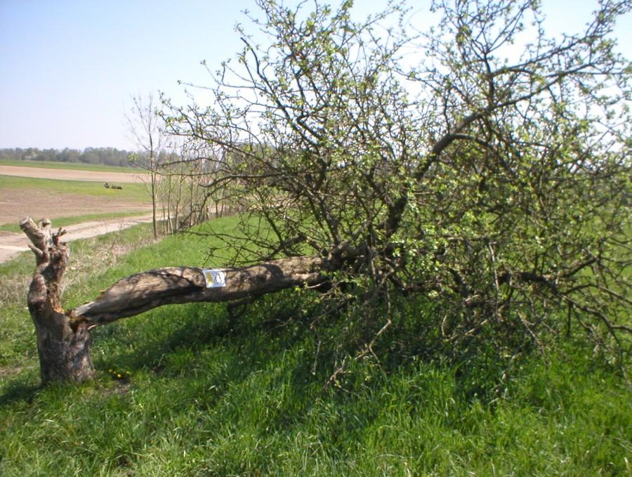 UTRUDNIENIA na SZLAKU POCZTYLIONA