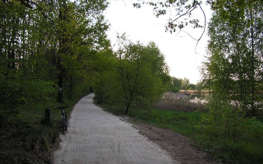 Ścieżka do Kiekrza