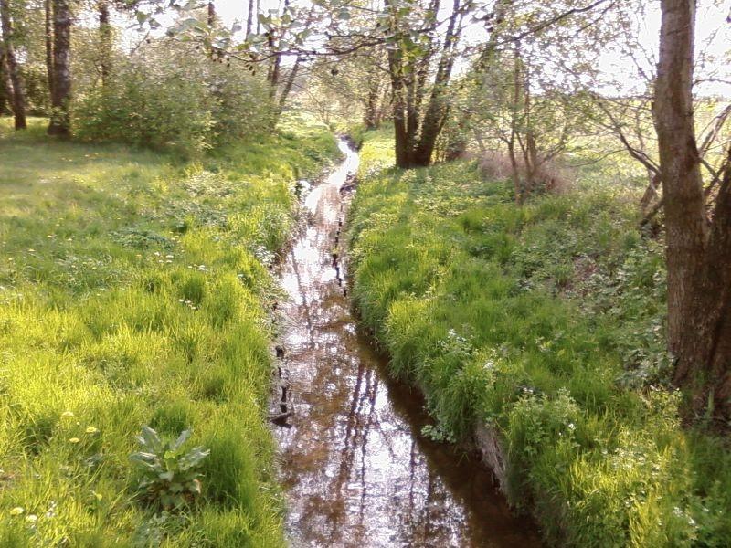 Rzeczka