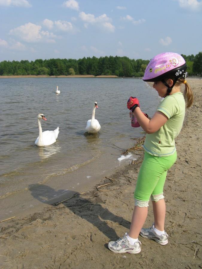 Ania pijąca i łabędzie na Pogorii