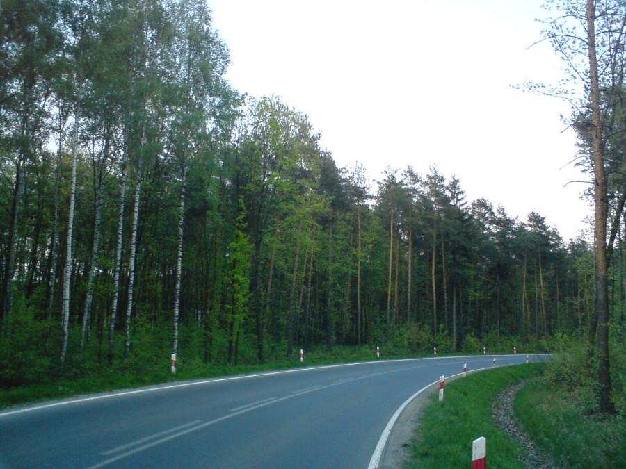 Droga w stronę lotniska