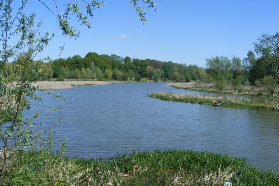 Zalew otoczony zielenią