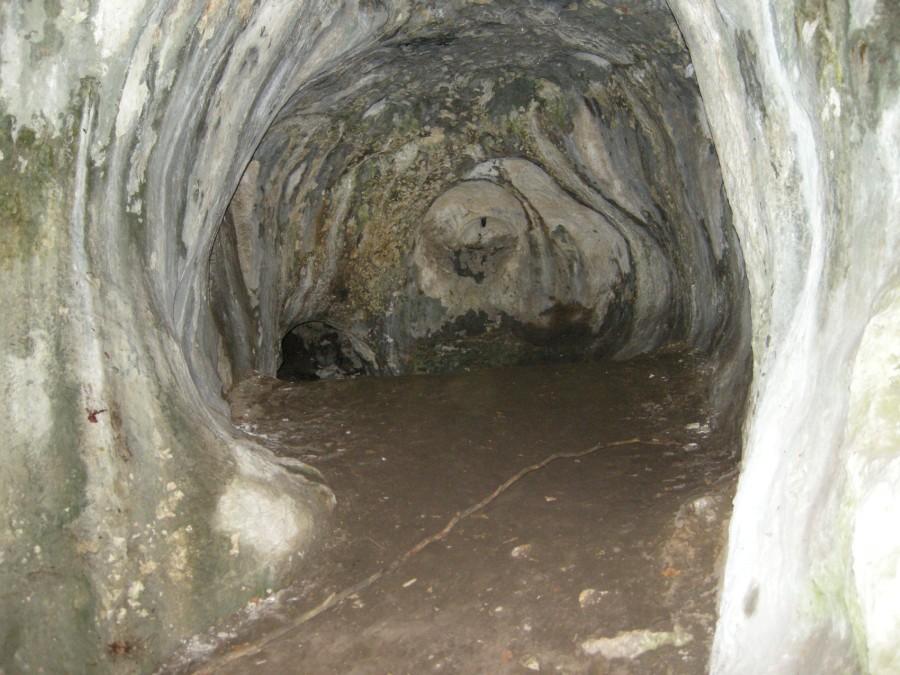 Jaskinia Ostrężnicka