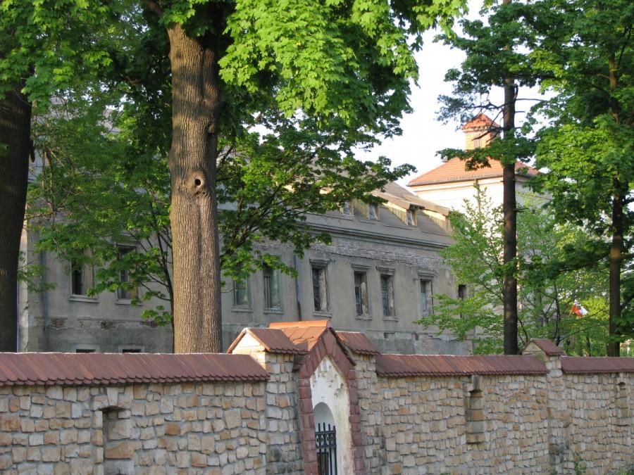Zamek w Starych Tarnowicach
