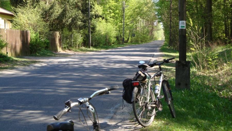 Na trasie, 2km od Spały