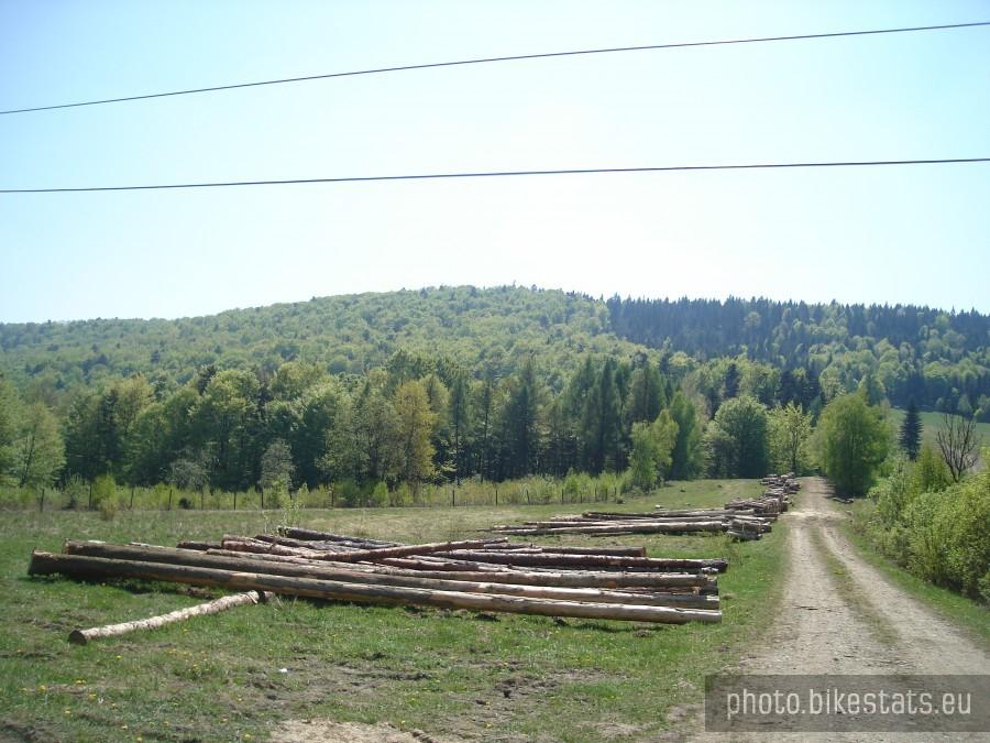 widoczki