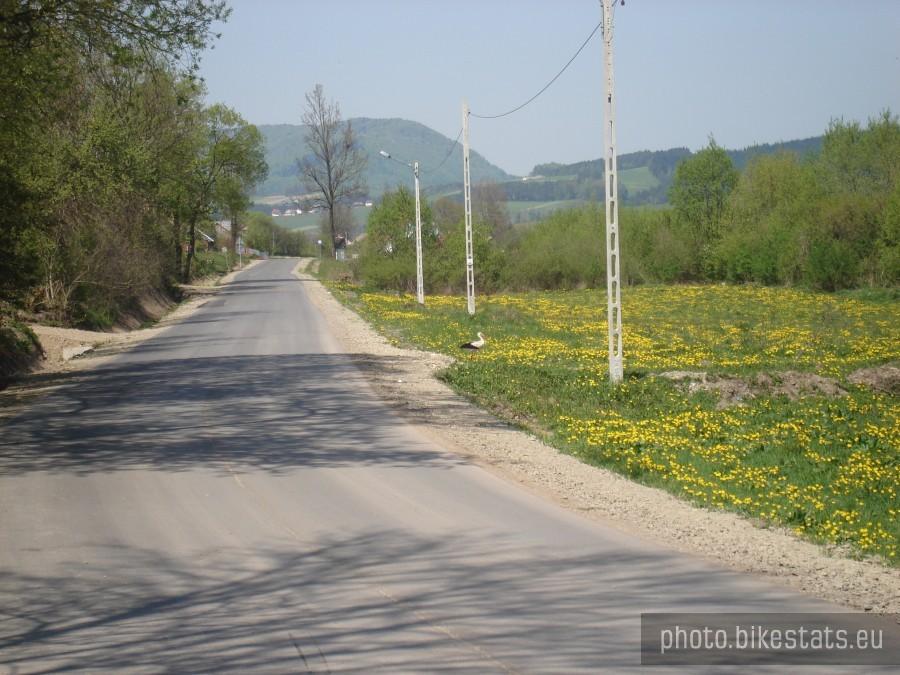 bociek 2