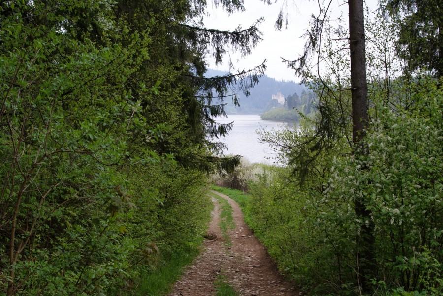 widok na jezioro