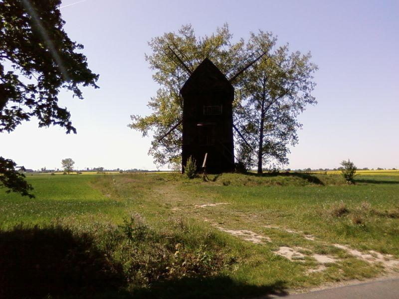 Wiatrak w Rybitwach