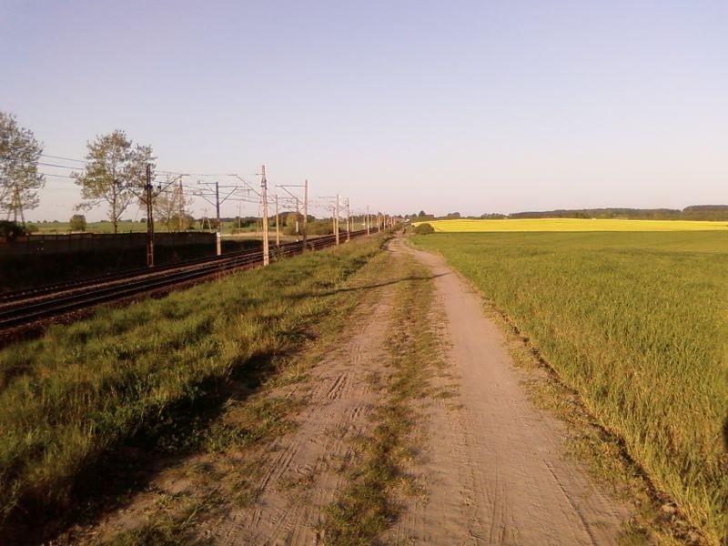 Drożka