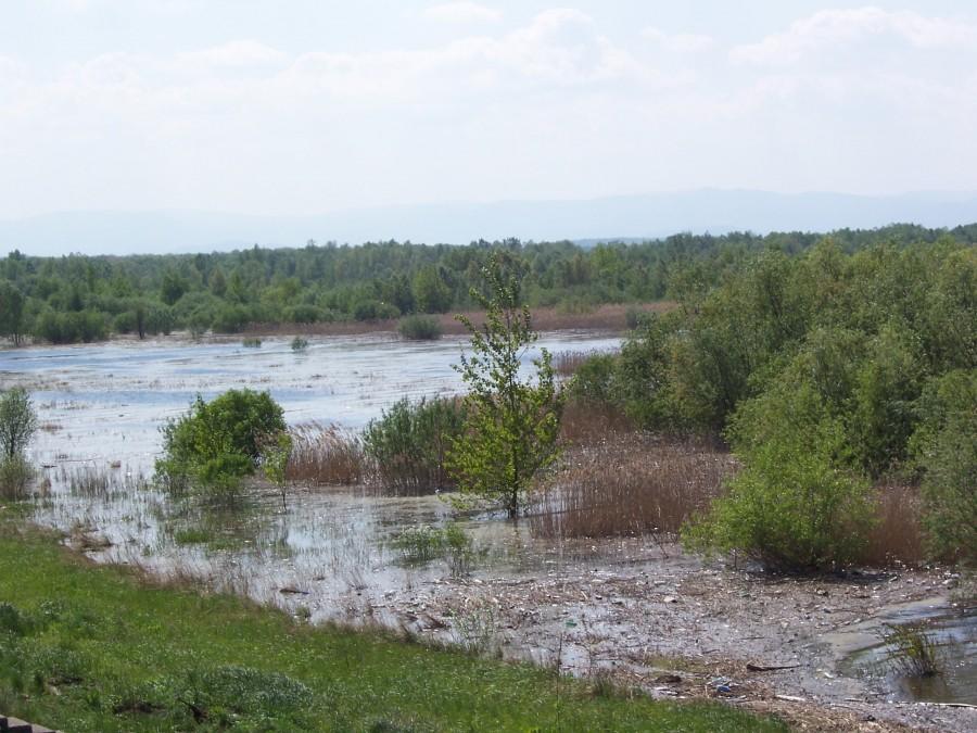 jezioro nyskie