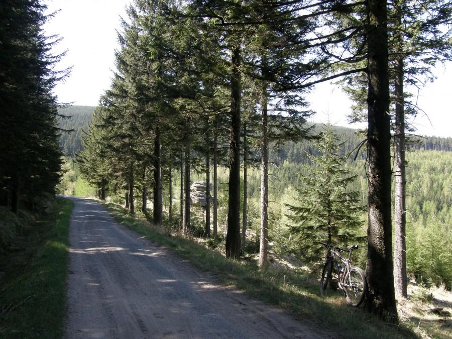 Na Drodze Chomontowej