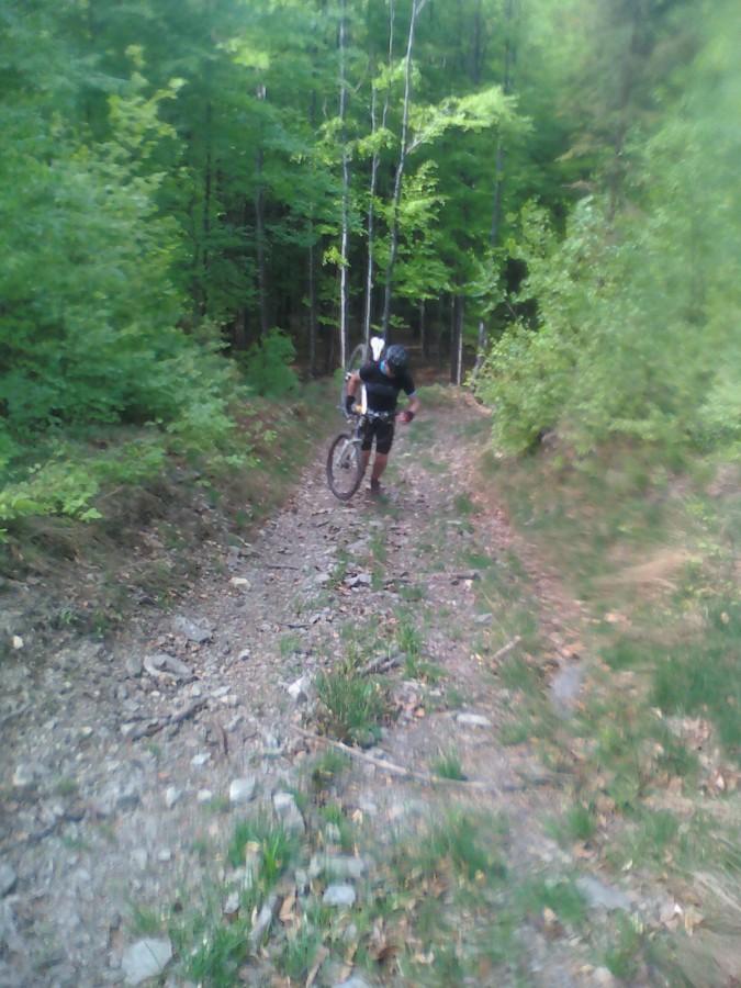 trening bica