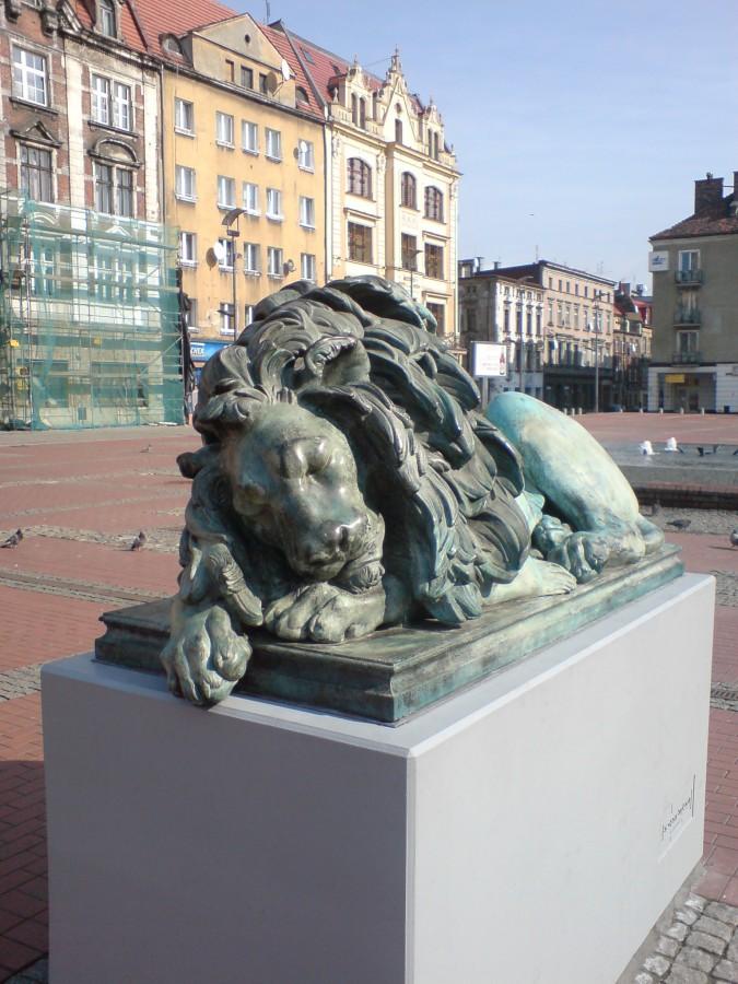 Król lew w Bytomiu