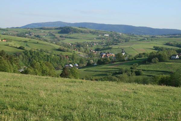 Krużlowa