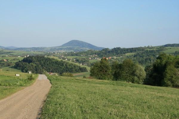 Chełm