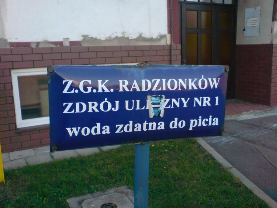 Zdrój w Radzionkowie