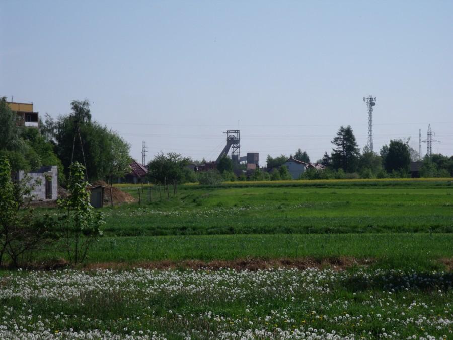 Brzeszcze