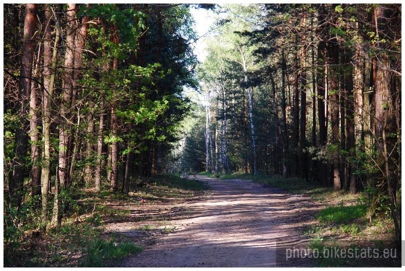 Rezerwat Dolina Żabnika