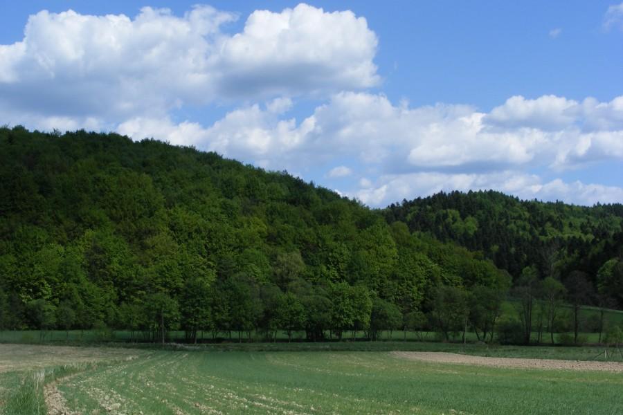 W Szklarach