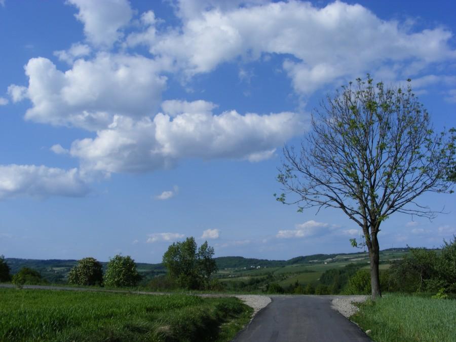Parę chmurek i cośtam..;)