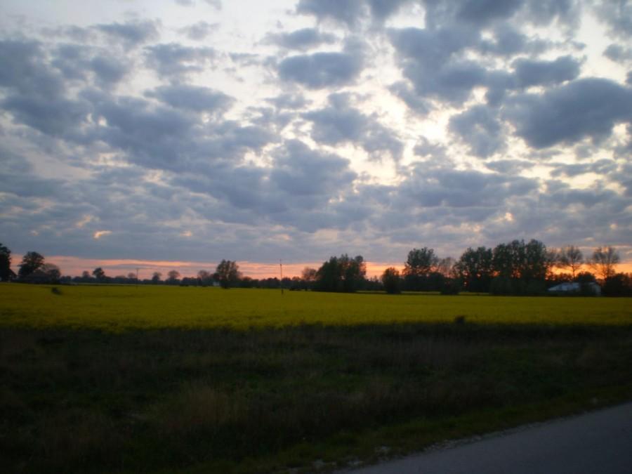 Majowe Żuławy
