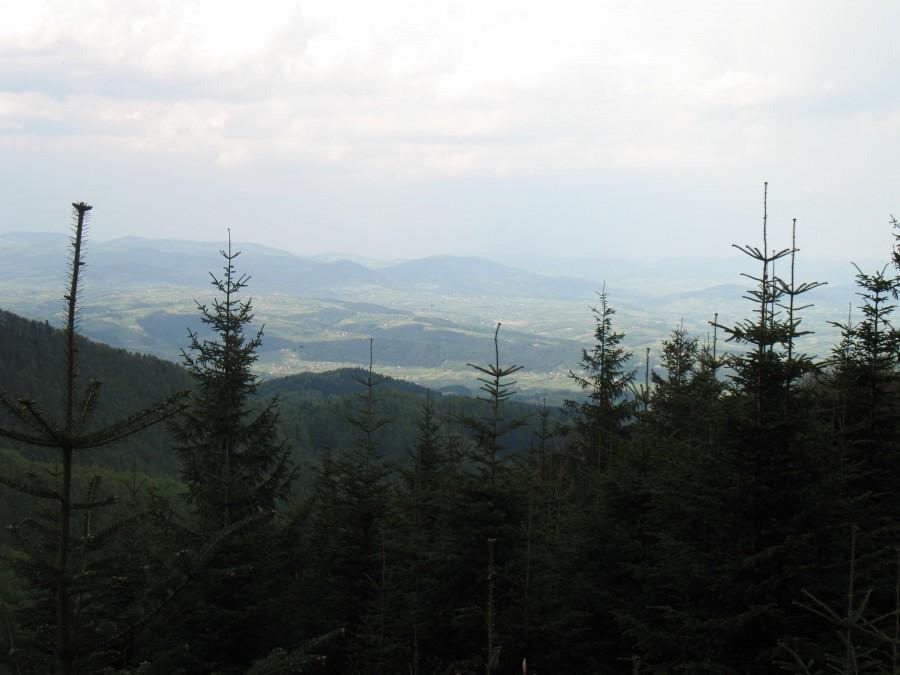 Widoczek na Sacz i nie tylko