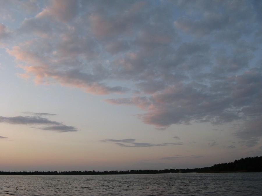 Pogoria