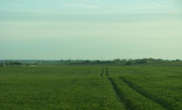 Krajobraz