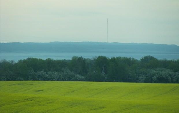 Kolorki
