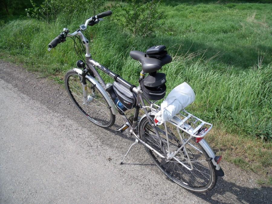 Kellysek pilnuje flaszeczki