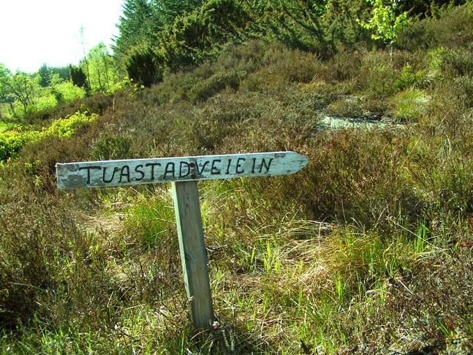 Mały drogowskaz z nazwą "ulicy"