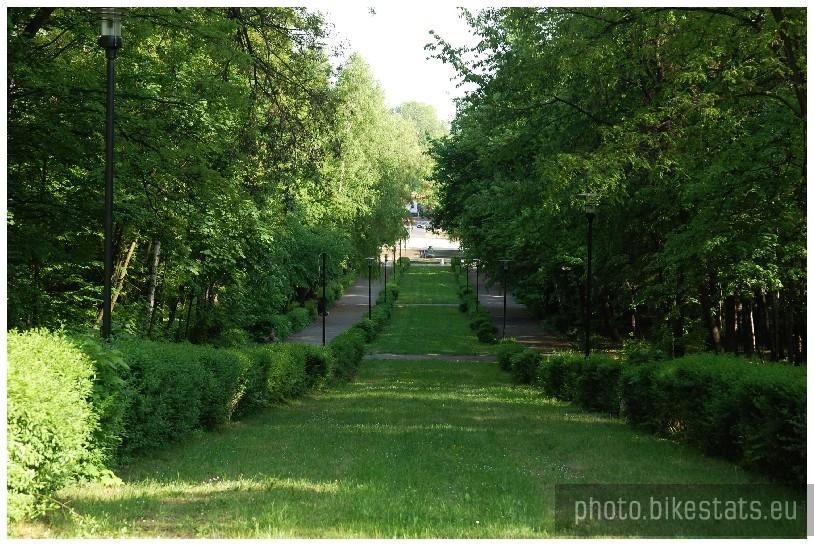 Wojkowice park