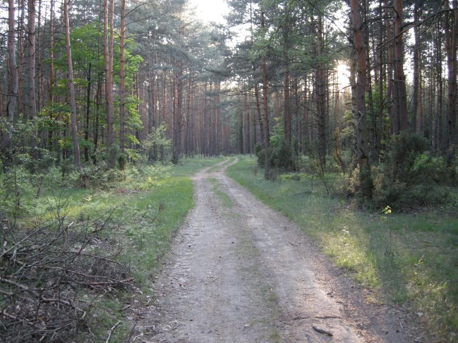 Ścieżka do nikąd