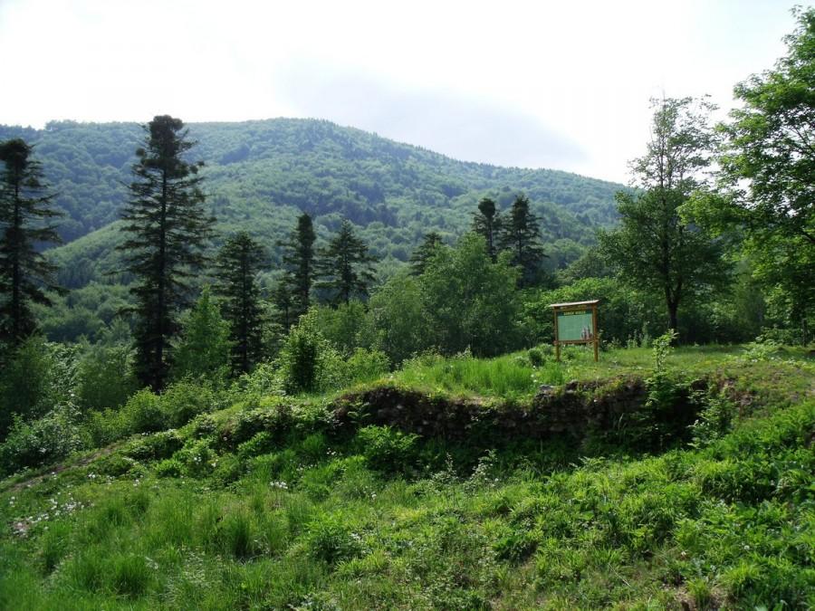 ruiny zamku