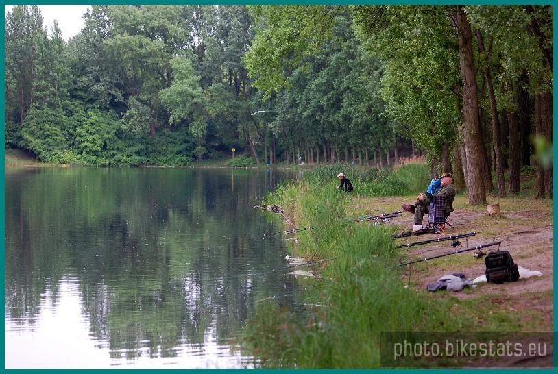 Sosnowiec - Stawiki