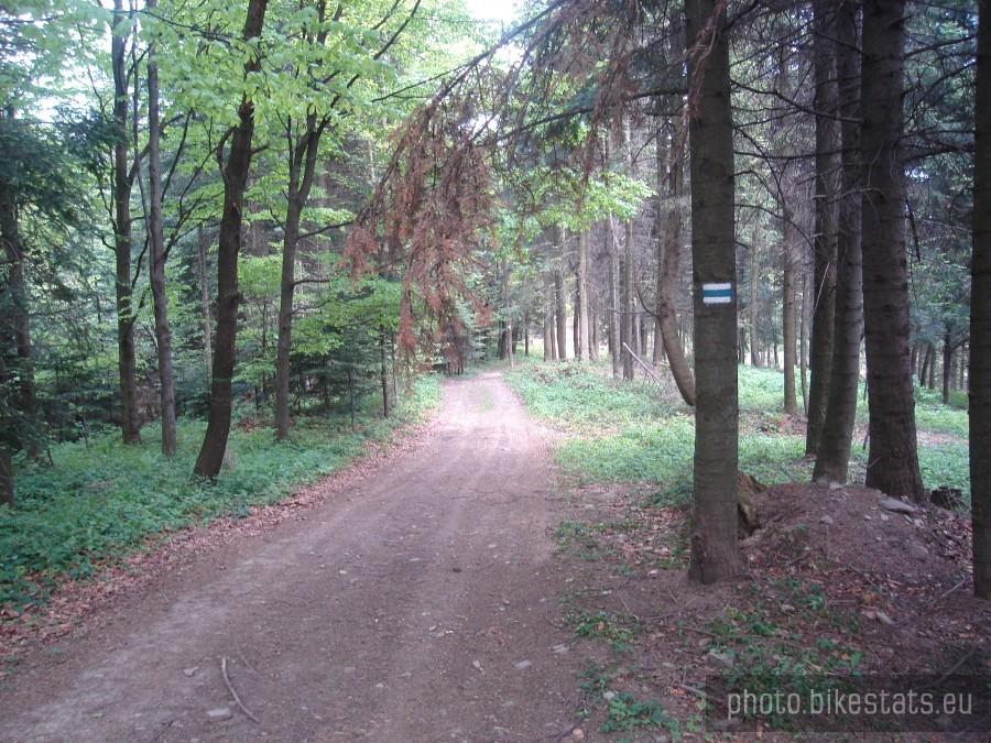 szlak